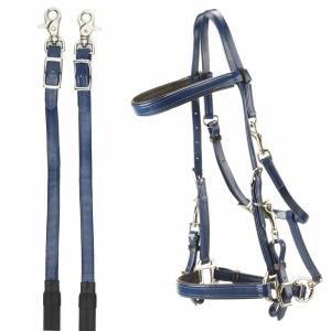 1401425-14-horse-bridles-for-endurance-in-pvc-daslo-national-blue