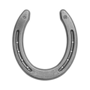 fe00040-posteriori-horsehoe-double-s-quarter-posteriori
