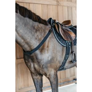 ne06gblc-elastic-breastplate-dy-on-black