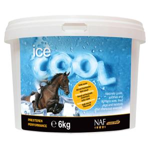 721101600-clay-for-horses-naf-ice-cool-white-6-kg
