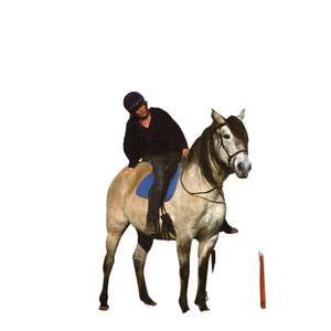 903337-book-to-educate-the-foal-from-the-ground-to-the-saddle-ekkia-green-one-size