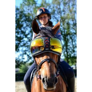 evysor4-equine-uv-gogglesequick-evysor-orange-one-size