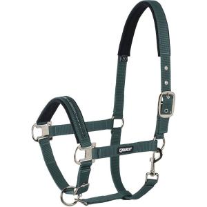 410000-816-590-halter-for-horse-eskadron-pin-buckle-racinggreen