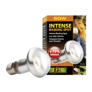33-pt2135-terrarium-lamp-exo-terra-intense-basking-spot-50w-silver-6-5x6-5x10-cm