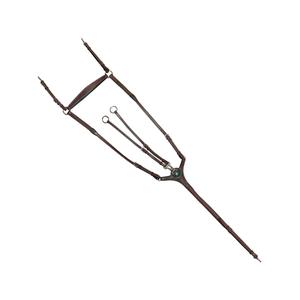 171194-marron-vert-combined-riding-bridles-flags-cup-paris-brown-green