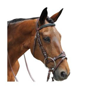 171194-noir-vert-combined-riding-bridles-flags-cup-paris-black-green