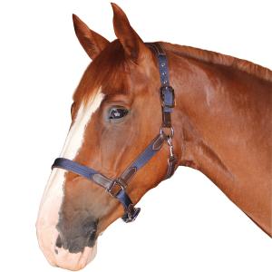 179501-marron-marine-nylon-leather-halter-flags-cup-brown-navy