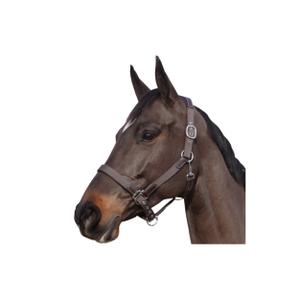 179501-marron-marron-nylon-leather-halter-flags-cup-brown-brown