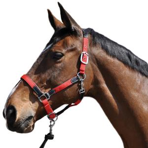 179501-noir-bordeaux-nylon-leather-halter-flags-cup-black-burgundy