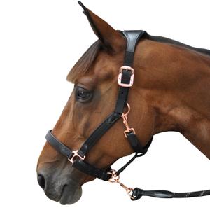 179501-noir-noir-rosegold-nylon-leather-halter-flags-cup-black-black-pink