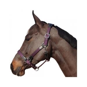 179501-noir-prune-nylon-leather-halter-flags-cup-black-plum