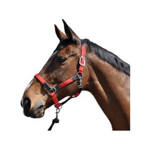 179501-noir-rouge-nylon-leather-halter-flags-cup-black-red