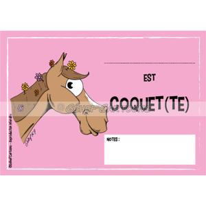 fr8plpc014fr-humorous-plaque-coquettish-fr8man-pink-one-size