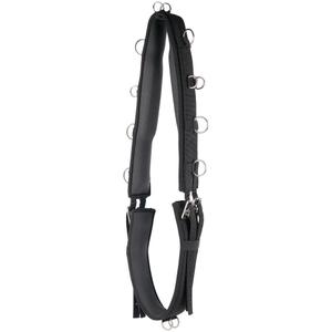 31405015-luxury-horse-surfaix-harry-s-horse-black