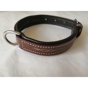 co-od-ma-dog-collar-hekktor-odin-malt
