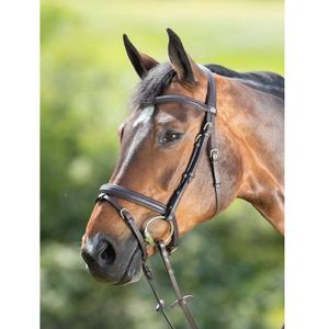 hfi015br-riding-bridles-hfi-soft-brown