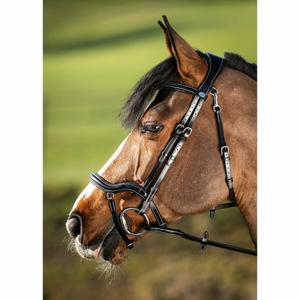 hfi016bk-riding-bridles-hfi-techno-black