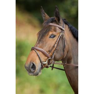 hfi1159br-riding-bridles-hfi-comfort-brown