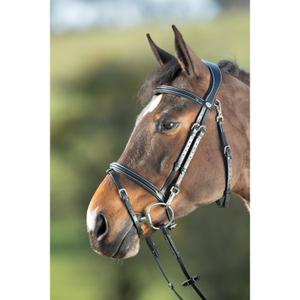 hfi003bk-riding-bridles-hfi-functional-black