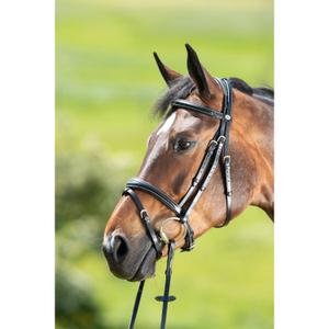 hfi013bk-riding-bridles-hfi-technical-black