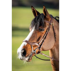hfi016br-riding-bridles-hfi-techno-brown