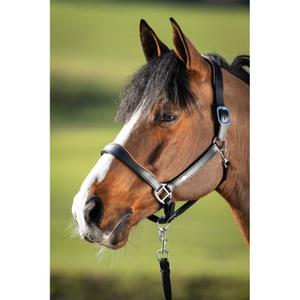 hfi1631bkco-leather-halter-for-horse-hfi-two-tone-black-cognac