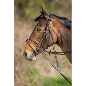 sam323br-gogue-for-horse-hfi-brown
