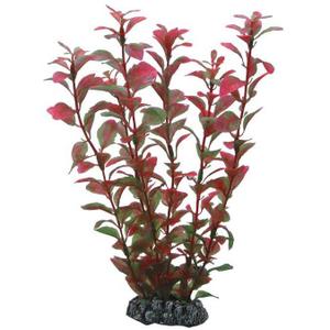 ho41520-aquarium-accessories-hobby-ludwigia-red