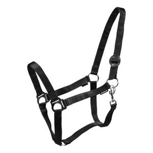 180185-2-halter-for-horse-horka-drew-black
