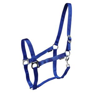 180185-55-halter-for-horse-horka-drew-royal-blue