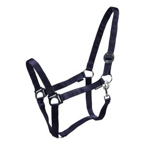 180185-6-halter-for-horse-horka-drew-blue