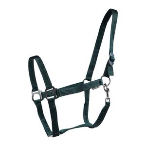 180185-7-halter-for-horse-horka-drew-green