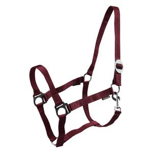180185-9-halter-for-horse-horka-drew-bordeaux