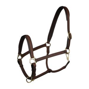180219-235-leather-halter-for-horses-horka-stockholm-brown-gold