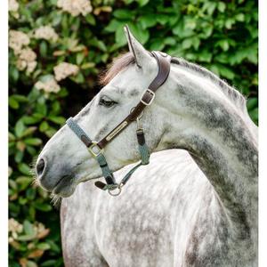 dhhmm0-nbd0-co-leather-halter-for-horse-horseware-signature-brown-navy-blue-haze