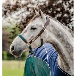 dhhmm0-nbh0-co-leather-halter-for-horse-horseware-signature-brown-navy-hunter-green