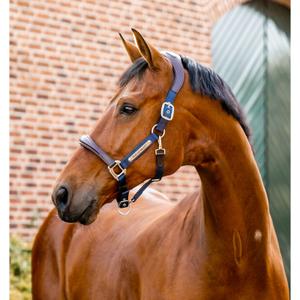dhhmm1-nbb0-co-leather-halter-for-horse-horseware-signature-brown-navy