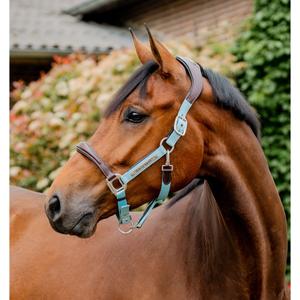 dhhmm1-nd00-co-leather-halter-for-horse-horseware-signature-brown-blue-haze