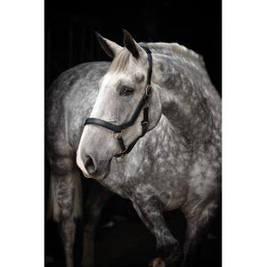 dhal8d-k000-halter-for-horse-horseware-rambo-micklem-black