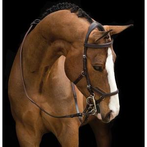 dhal8d-n000-halter-for-horse-horseware-rambo-micklem-brown