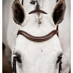 product/h/o/horseware_sbmum2-nab0_2.jpg
