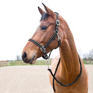 22219-099-halter-and-lead-rope-set-for-horse-horze-cooper-black