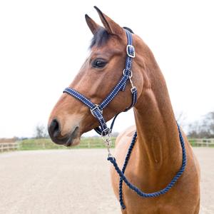 22219-590-halter-and-lead-rope-set-for-horse-horze-cooper-peacoat-dark-blue