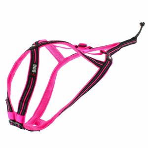 i05pm-dog-harness-i-dog-canicross-x-baxk-pink