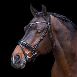 ho40323005-9584-bridles-imperial-riding-olympia-black-rose-gold