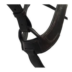 product/k/a/kavalkade_0169041250200_3.jpg
