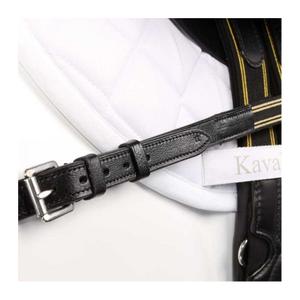 product/k/a/kavalkade_0169041250200_4.jpg