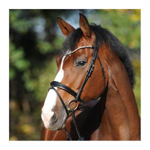0190441-riding-bridles-kavalkade-reyna-kavalsh4-black
