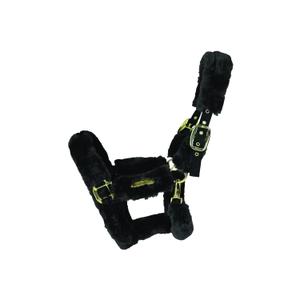 42502-01-sheep-halter-kentucky-black