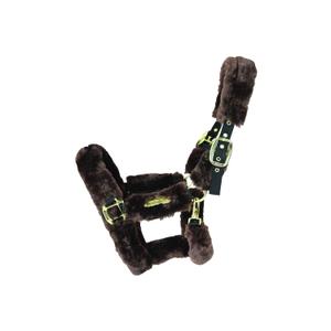 42502-05-sheep-halter-kentucky-brown